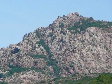 Foret de Calenzana, Corsica, France.